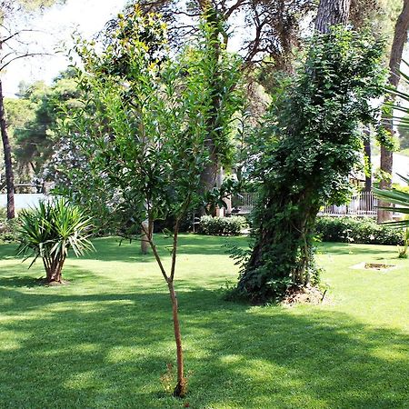 Il Melograno B&B Castellaneta Marina Ngoại thất bức ảnh