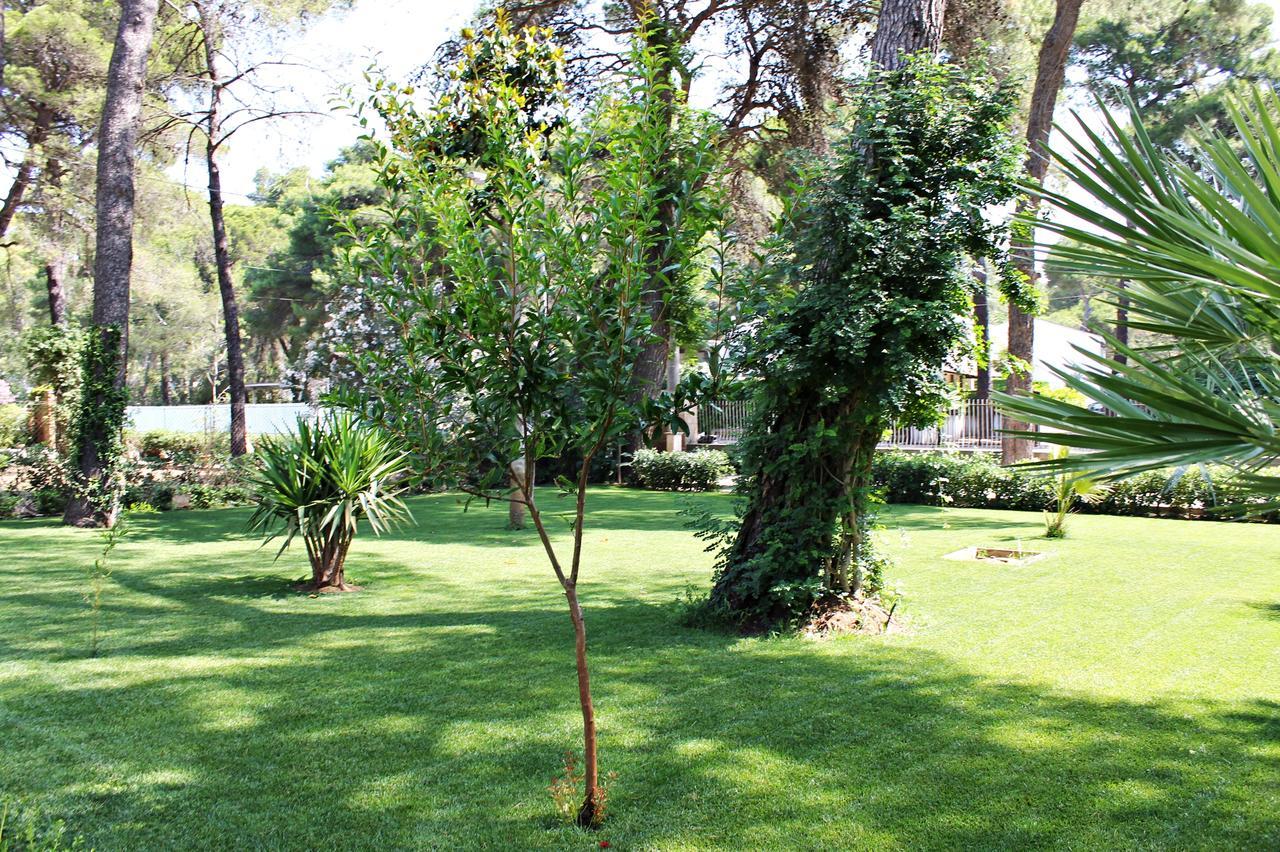 Il Melograno B&B Castellaneta Marina Ngoại thất bức ảnh